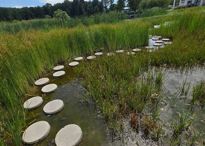 Igazgyoengy Zalakaros